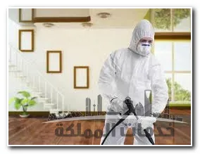 شركة مكافحة حشرات بمكة – 0506062104 شركة مكافحة حشرات بمكة – 0506062104